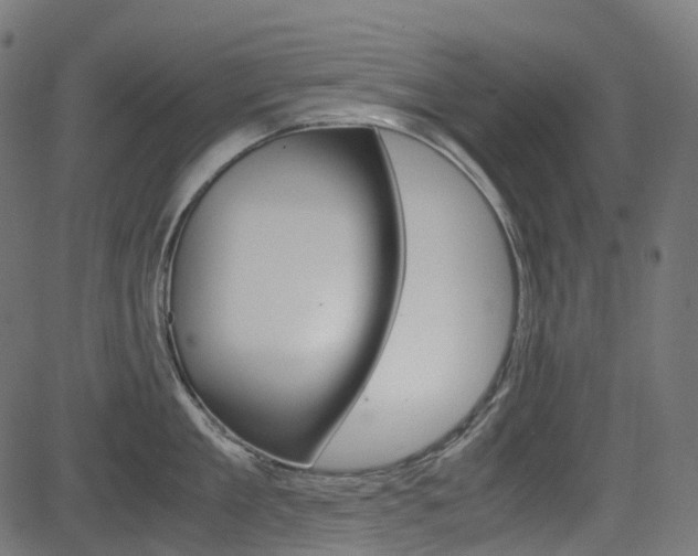 X0000082950909200702011045