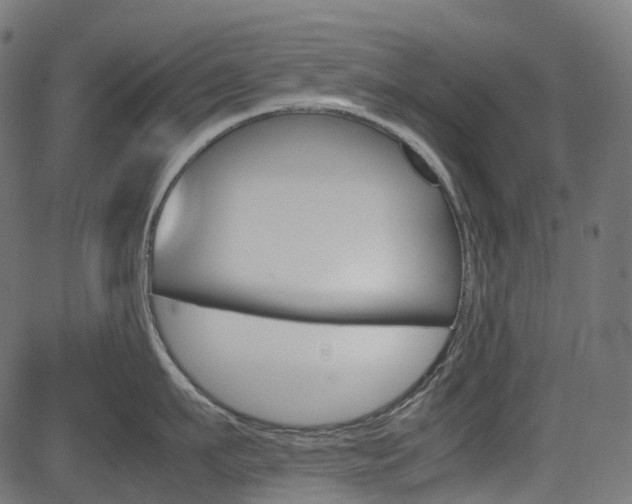 X0000082950911200702011044