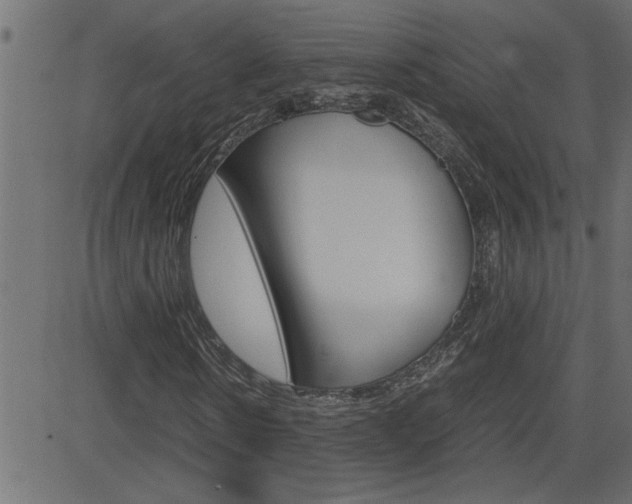 X0000082950914200702011044