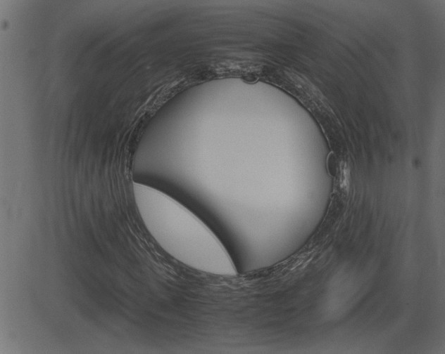 X0000082950915200702011044