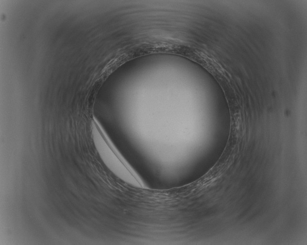 X0000082950916200702011044