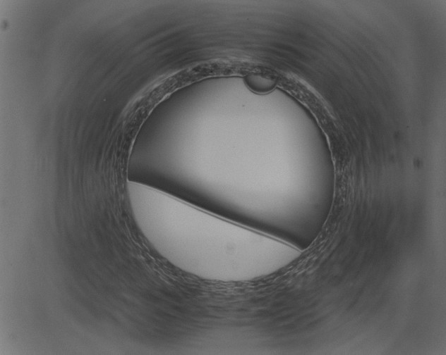 X0000082950919200702011044