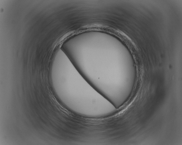 X0000082950921200702011044