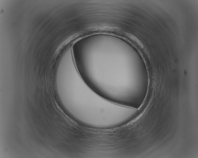 X0000082950922200702011044