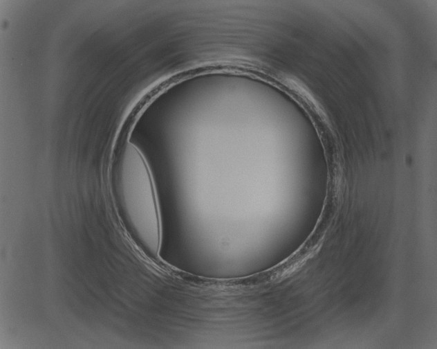 X0000082950924200702011044