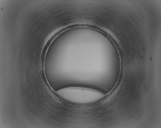 X0000082950927200702011044