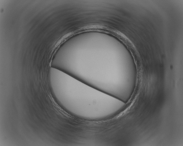 X0000082950929200702011044