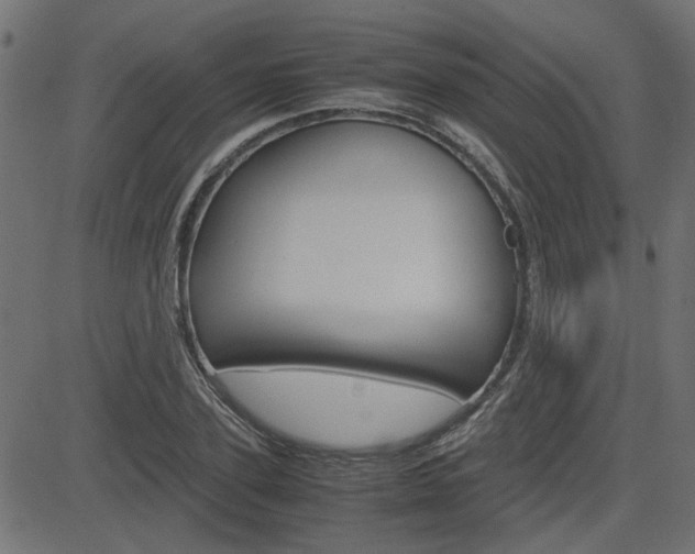X0000082950931200702011044