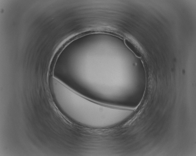 X0000082950932200702011044