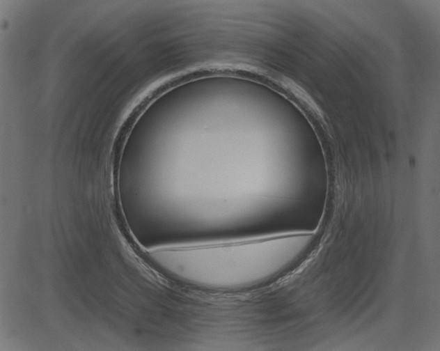 X0000082950934200702011044