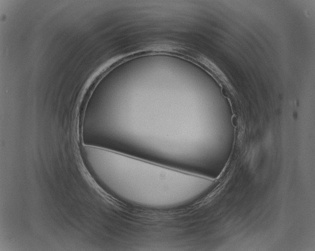 X0000082950939200702011044