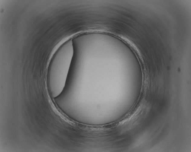 X0000082950941200702011044