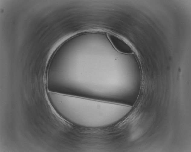 X0000082950951200702011044