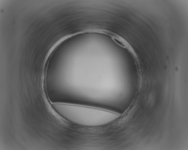 X0000082950955200702011044