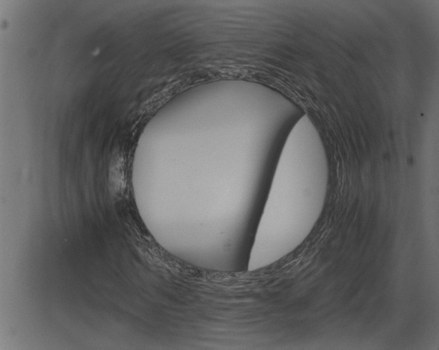 X0000082950962200702011044