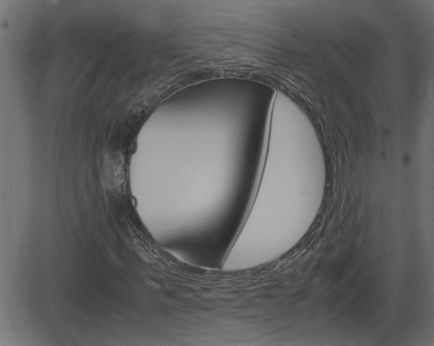 X0000082950963200702011044