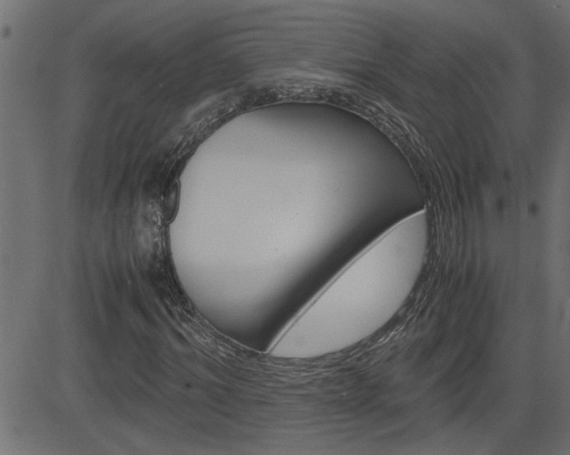 X0000082950964200702011044