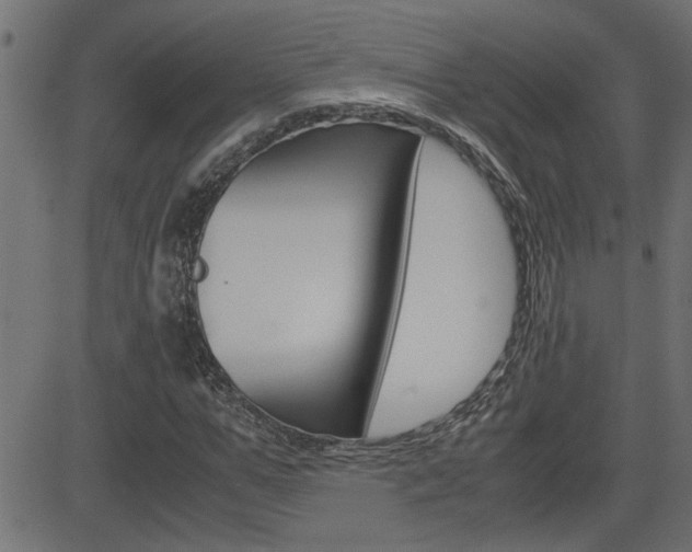 X0000082950967200702011044