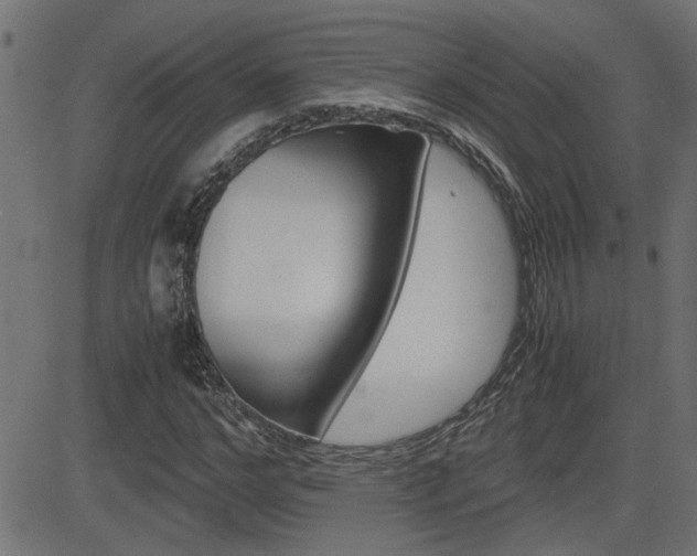X0000082950968200702011044