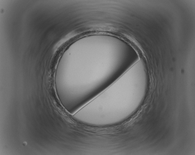 X0000082950971200702011044
