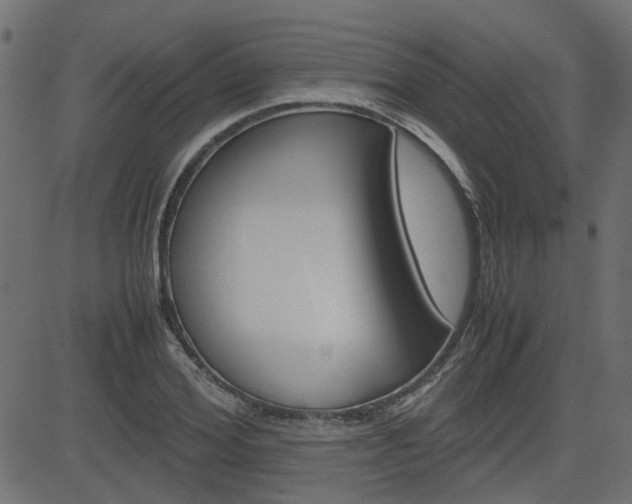 X0000082950980200702011043