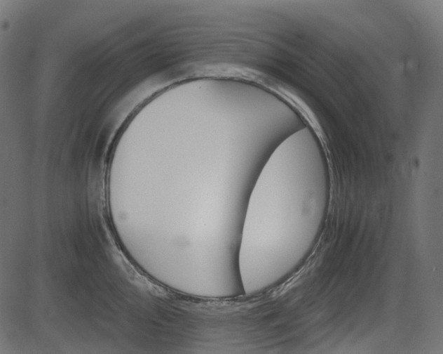 X0000082951000200702011043
