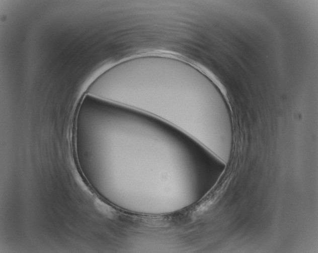 X0000082951007200702011043
