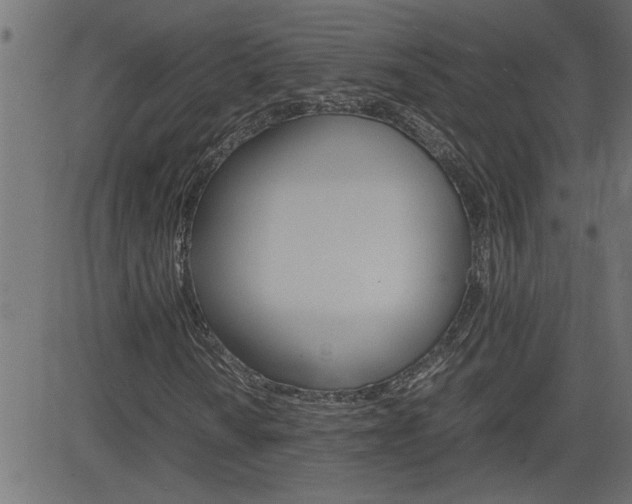 X0000082951010200702011042