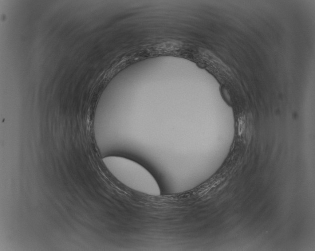 X0000082951011200702011042
