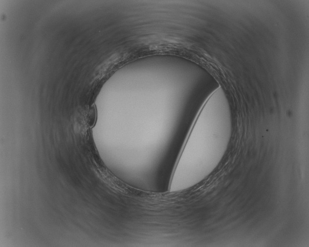 X0000082951012200702011042