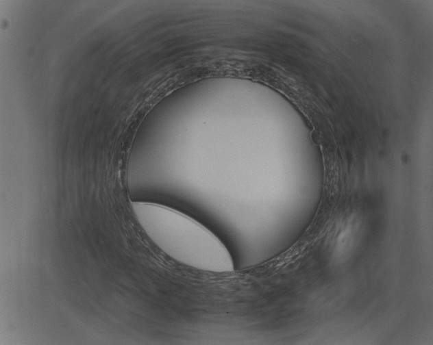 X0000082951013200702011042