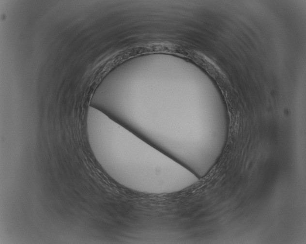 X0000082951015200702011042
