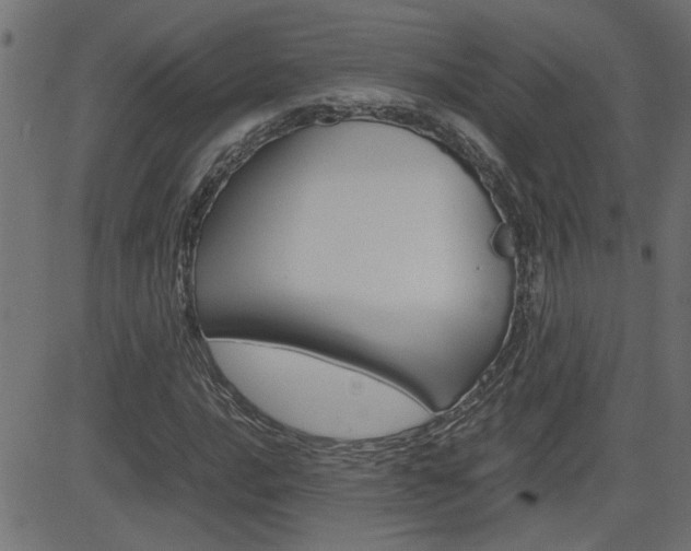 X0000082951016200702011042