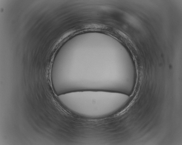 X0000082951017200702011042