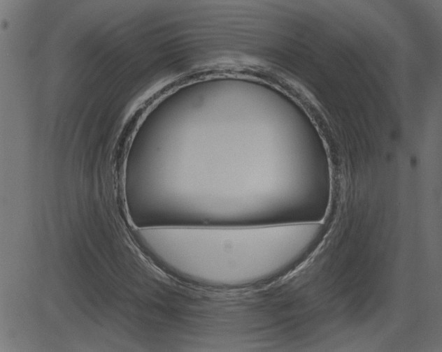 X0000082951018200702011042