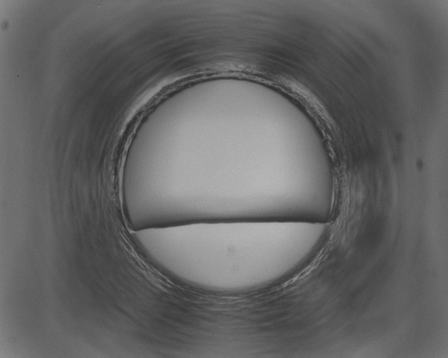 X0000082951023200702011042