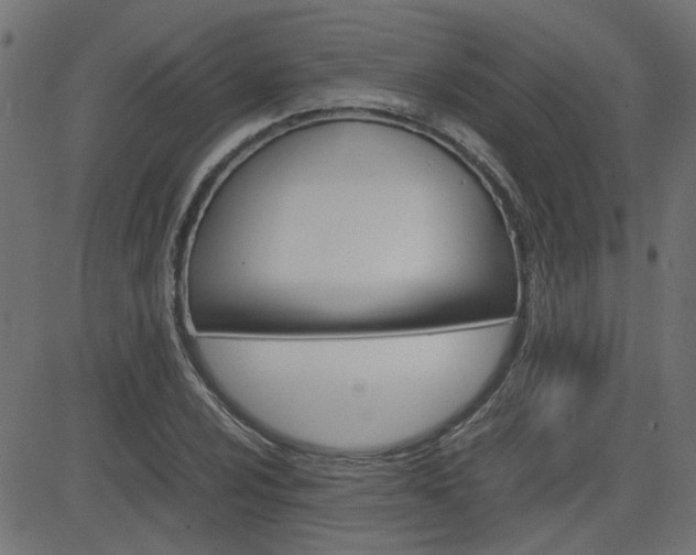 X0000082951024200702011042