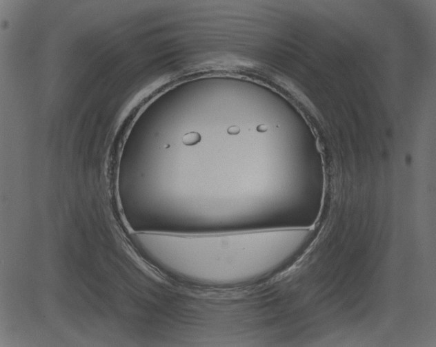 X0000082951026200702011042