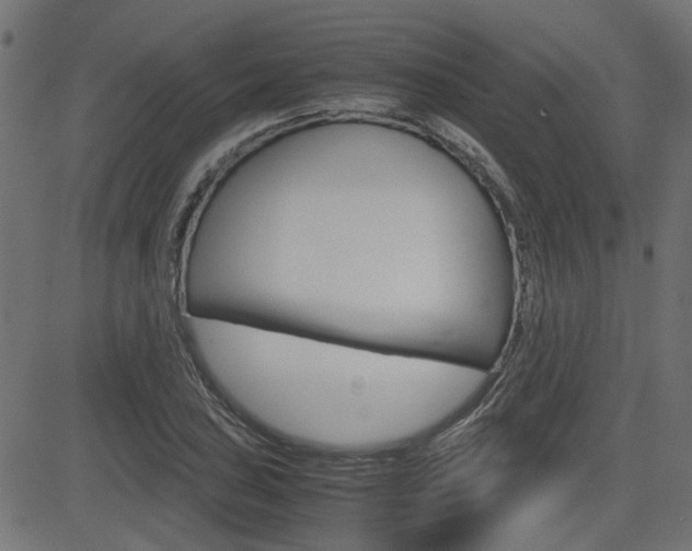 X0000082951027200702011042