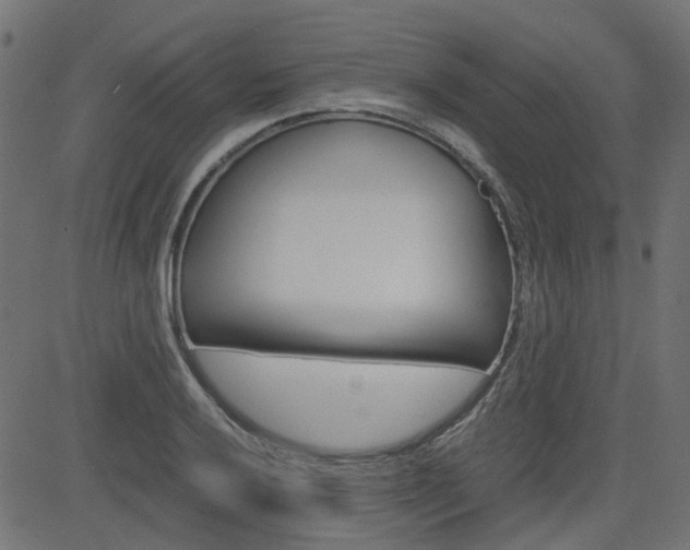 X0000082951032200702011042