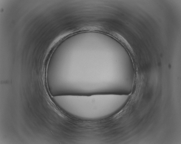 X0000082951035200702011043