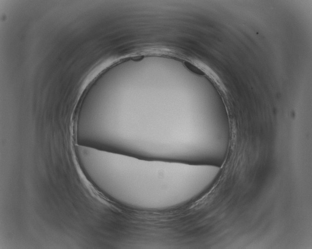 X0000082951047200702011043