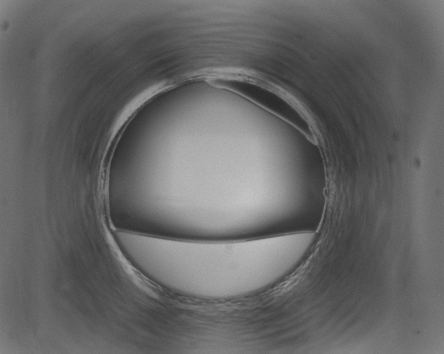 X0000082951050200702011043