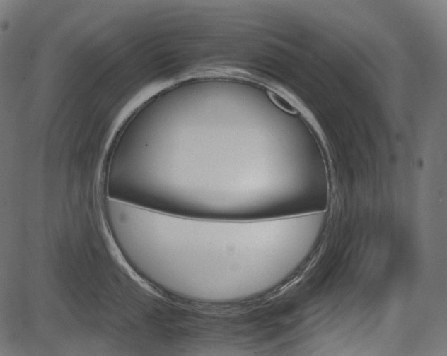 X0000082951053200702011043