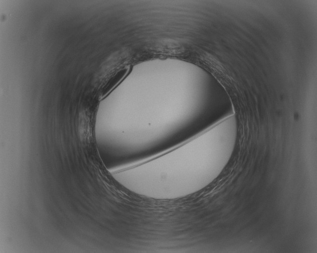 X0000082951058200702011042