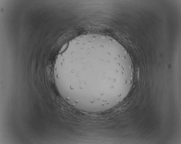 X0000082951059200702011042