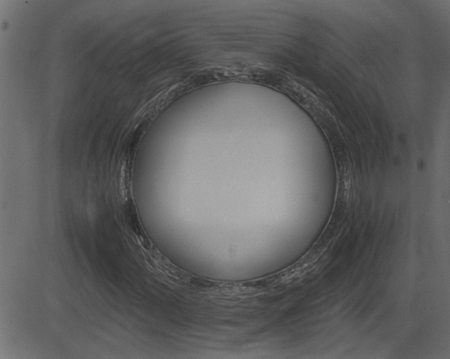 X0000082951060200702011042
