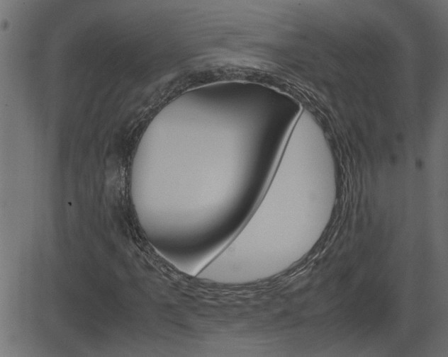X0000082951061200702011042