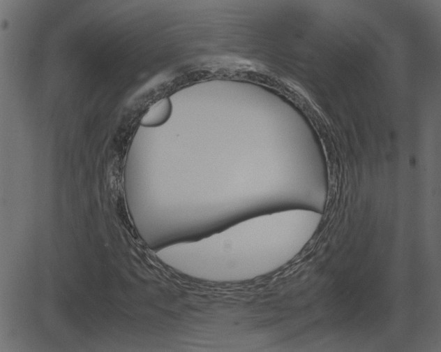 X0000082951063200702011042