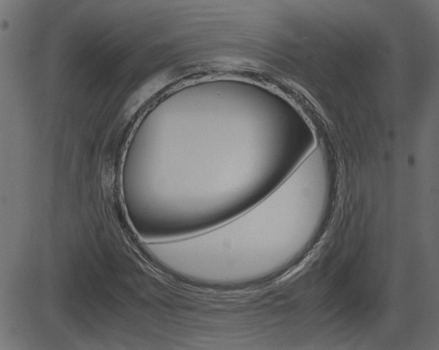 X0000082951065200702011042